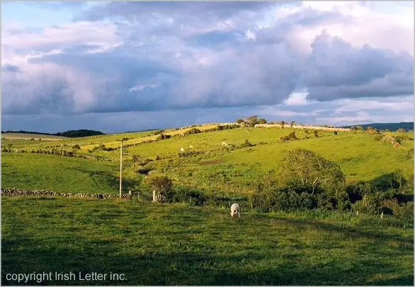 Ireland's shades of green, farmfield Liscannor