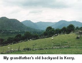 grandfather's old backyard